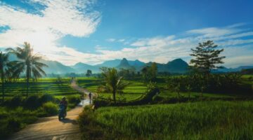 Suasana hangat di salah satu desa wisata di Indonesia, tempat para pelancong dapat berinteraksi langsung dengan warga lokal sambil menikmati keindahan alam yang masih asri.