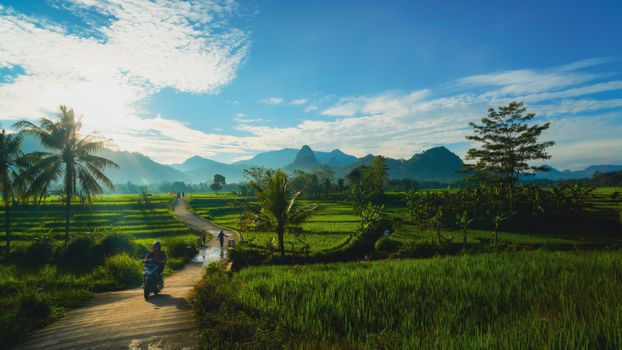 Suasana hangat di salah satu desa wisata di Indonesia, tempat para pelancong dapat berinteraksi langsung dengan warga lokal sambil menikmati keindahan alam yang masih asri.