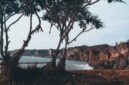 Pemandangan bukit sabana keemasan di Sumba Timur menjadi salah satu destinasi wisata berkelanjutan yang menawarkan ketenangan alam otentik.
