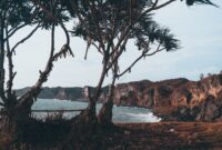 Pemandangan bukit sabana keemasan di Sumba Timur menjadi salah satu destinasi wisata berkelanjutan yang menawarkan ketenangan alam otentik.