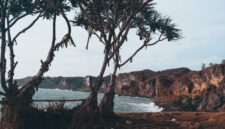 Pemandangan bukit sabana keemasan di Sumba Timur menjadi salah satu destinasi wisata berkelanjutan yang menawarkan ketenangan alam otentik.