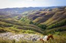 Pemandangan bukit sabana dan deretan rumah adat bergaya khas megalitikum di Pulau Sumba yang menawarkan ketenangan bagi para pelancong yang merindukan liburan berbasis kearifan lokal.
