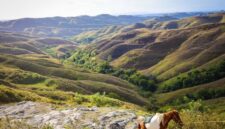 Pemandangan bukit sabana dan deretan rumah adat bergaya khas megalitikum di Pulau Sumba yang menawarkan ketenangan bagi para pelancong yang merindukan liburan berbasis kearifan lokal.