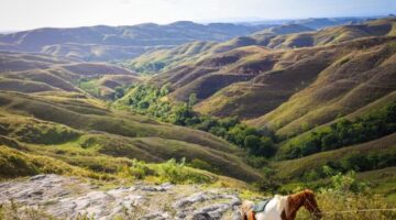 Pemandangan bukit sabana dan deretan rumah adat bergaya khas megalitikum di Pulau Sumba yang menawarkan ketenangan bagi para pelancong yang merindukan liburan berbasis kearifan lokal.