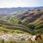 Pemandangan bukit sabana dan deretan rumah adat bergaya khas megalitikum di Pulau Sumba yang menawarkan ketenangan bagi para pelancong yang merindukan liburan berbasis kearifan lokal.