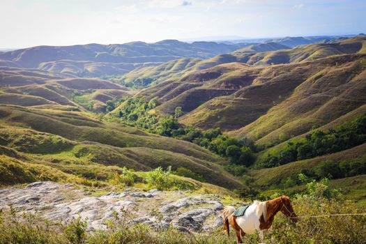 Pemandangan bukit sabana dan deretan rumah adat bergaya khas megalitikum di Pulau Sumba yang menawarkan ketenangan bagi para pelancong yang merindukan liburan berbasis kearifan lokal.