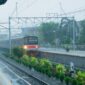 Wisatawan menikmati pemandangan perbukitan hijau Nusantara dari dalam gerbong kereta wisata berfasilitas modern yang nyaman. Modifikasi moda transportasi pariwisata ramah lingkungan kini menjadi daya tarik utama dalam mengeksplorasi keindahan alam Indonesia.
