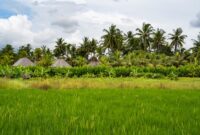 Pemandangan perbukitan sabana dan lanskap alam di Nusa Tenggara Timur yang kini menjadi tujuan favorit wisatawan berbasis ramah lingkungan.