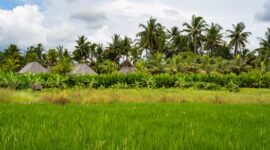 Pemandangan perbukitan sabana dan lanskap alam di Nusa Tenggara Timur yang kini menjadi tujuan favorit wisatawan berbasis ramah lingkungan.