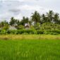 Pemandangan perbukitan sabana dan lanskap alam di Nusa Tenggara Timur yang kini menjadi tujuan favorit wisatawan berbasis ramah lingkungan.