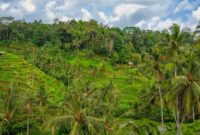 Seorang pelancong menikmati suasana tenang sembari berinteraksi dengan warga lokal di kawasan pedesaan Sumba, Nusa Tenggara Timur. Pendekatan wisata regeneratif kini menjadi pilihan populer bagi wisatawan yang menginginkan pengalaman liburan berdampak positif.