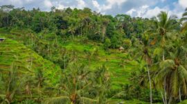 Seorang pelancong menikmati suasana tenang sembari berinteraksi dengan warga lokal di kawasan pedesaan Sumba, Nusa Tenggara Timur. Pendekatan wisata regeneratif kini menjadi pilihan populer bagi wisatawan yang menginginkan pengalaman liburan berdampak positif.