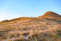 Pemandangan bukit sabana yang memukau di Pulau Sumba menjadi salah satu latar tempat ideal untuk menerapkan konsep perjalanan lambat yang menenangkan pikiran.