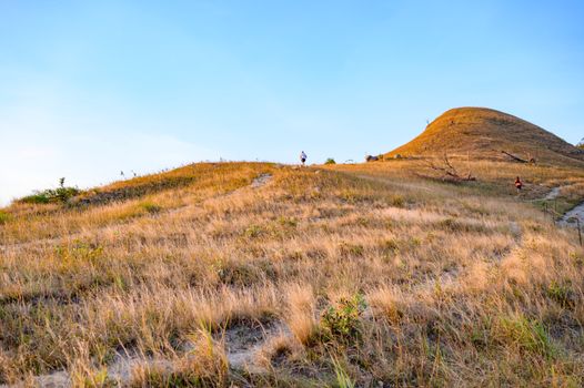 Pemandangan bukit sabana yang memukau di Pulau Sumba menjadi salah satu latar tempat ideal untuk menerapkan konsep perjalanan lambat yang menenangkan pikiran.