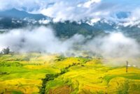 Pemandangan ladang sayur berundak di Desa Selo yang diselimuti kabut tipis pagi hari, memperlihatkan keasrian alam pegunungan di antara lereng Gunung Merapi dan Merbabu.