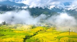 Pemandangan ladang sayur berundak di Desa Selo yang diselimuti kabut tipis pagi hari, memperlihatkan keasrian alam pegunungan di antara lereng Gunung Merapi dan Merbabu.