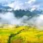 Pemandangan ladang sayur berundak di Desa Selo yang diselimuti kabut tipis pagi hari, memperlihatkan keasrian alam pegunungan di antara lereng Gunung Merapi dan Merbabu.