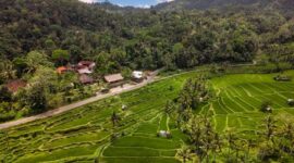 Pelancong menikmati pemandangan alam pedesaan hijau dan berinteraksi langsung dengan warga lokal di kawasan tempat mereka menginap.
