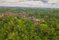 Seorang pelancong menikmati pemandangan perbukitan hijau sembari berinteraksi dengan warga lokal di desa wisata kawasan lereng gunung.