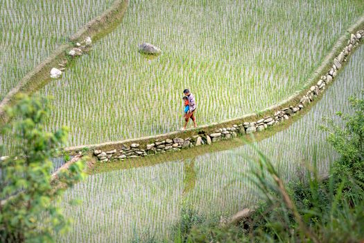 Sebuah keluarga menikmati suasana pagi yang sejuk sembari berjalan santai di antara hamparan hijau perdesaan. Aktivitas sederhana ini menjadi sarana efektif untuk mengenalkan anak pada keindahan alam sekaligus merekatkan kehangatan antaranggota keluarga.