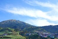 Penumpang menikmati pemandangan perbukitan hijau melalui kaca jendela besar di dalam gerbong kereta wisata panoramik yang melintasi Pulau Jawa.
