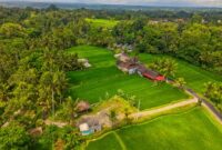 Seorang pelancong menikmati pemandangan hijau kawasan pedesaan sambil berinteraksi ramah dengan petani lokal. Wisata lambat kini menjadi pilihan populer bagi masyarakat perkotaan yang mencari ketenangan jiwa.