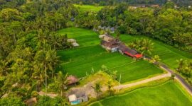 Seorang pelancong menikmati pemandangan hijau kawasan pedesaan sambil berinteraksi ramah dengan petani lokal. Wisata lambat kini menjadi pilihan populer bagi masyarakat perkotaan yang mencari ketenangan jiwa.