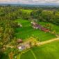 Seorang pelancong menikmati pemandangan hijau kawasan pedesaan sambil berinteraksi ramah dengan petani lokal. Wisata lambat kini menjadi pilihan populer bagi masyarakat perkotaan yang mencari ketenangan jiwa.