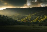 Pemandangan matahari terbenam yang memancarkan cahaya keemasan di atas perbukitan sabana Sumba, memberikan suasana tenang yang cocok untuk konsep perjalanan lambat.