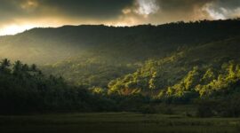 Pemandangan matahari terbenam yang memancarkan cahaya keemasan di atas perbukitan sabana Sumba, memberikan suasana tenang yang cocok untuk konsep perjalanan lambat.