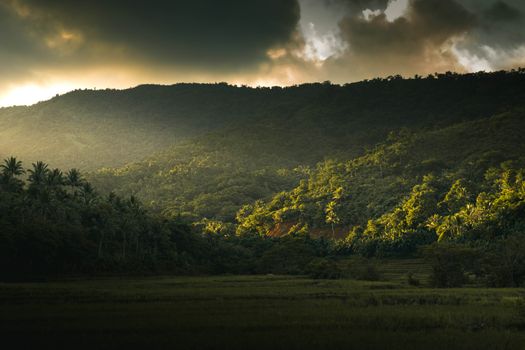 Pemandangan matahari terbenam yang memancarkan cahaya keemasan di atas perbukitan sabana Sumba, memberikan suasana tenang yang cocok untuk konsep perjalanan lambat.