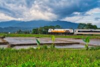 Kereta wisata panoramik melintasi jembatan dan perbukitan hijau di Jawa Barat, menawarkan pemandangan alam spektakuler sepanjang perjalanan bagi para wisatawan.