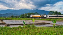 Kereta wisata panoramik melintasi jembatan dan perbukitan hijau di Jawa Barat, menawarkan pemandangan alam spektakuler sepanjang perjalanan bagi para wisatawan.