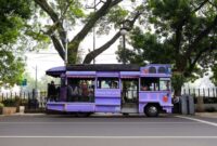 Armada transportasi publik melintasi jalur antarprovinsi yang semakin terkoneksi dengan mulus, memberikan kenyamanan dan efisiensi waktu bagi para wisatawan.
