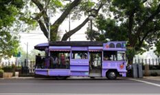 Menjelajah Pelosok Nusantara Kini Lebih Mudah Berkat Konektivitas Transportasi Terpadu