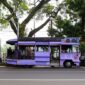 Armada transportasi publik melintasi jalur antarprovinsi yang semakin terkoneksi dengan mulus, memberikan kenyamanan dan efisiensi waktu bagi para wisatawan.