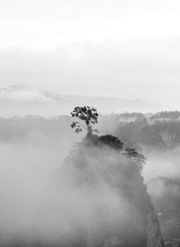 Menyusuri Jejak Ketenangan Sejati di Lembah Harau Sumatra Barat yang Tersembunyi
