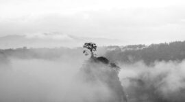 Dinding tebing granit menjulang tinggi melingkupi hamparan sawah hijau di Lembah Harau, Kabupaten Lima Puluh Kota, Sumatra Barat. Tempat ini menawarkan ketenangan alam pedesaan yang masih terawat asri dari keriuhan kota.