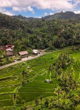 Menyegarkan Pikiran di Pelosok Desa Menjelang Akhir Tahun
