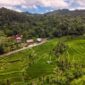 Pemandangan terasering sawah yang diselimuti kabut tipis di pagi hari memberikan suasana tenang yang cocok untuk melepas penat dari kesibukan kota.