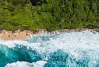 Deretan pohon kaboa khas Leuweung Sancang yang berdiri kokoh menghadap Samudra Hindia, menciptakan lanskap hutan purba pesisir yang magis di selatan Garut.