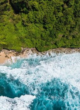 Menjelajah Surga Tersembunyi Leuweung Sancang: Menemukan Kedamaian Hakiki di Ujung Selatan Garut