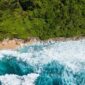 Deretan pohon kaboa khas Leuweung Sancang yang berdiri kokoh menghadap Samudra Hindia, menciptakan lanskap hutan purba pesisir yang magis di selatan Garut.
