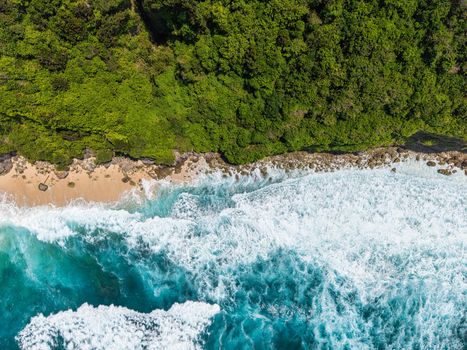 Deretan pohon kaboa khas Leuweung Sancang yang berdiri kokoh menghadap Samudra Hindia, menciptakan lanskap hutan purba pesisir yang magis di selatan Garut.