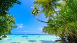 Hamparan pasir putih super halus di Pantai Ngurbloat, Kepulauan Kei, Maluku Tenggara, menawarkan panorama pesisir murni dengan perairan biru turkis yang jernih.