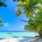 Hamparan pasir putih super halus di Pantai Ngurbloat, Kepulauan Kei, Maluku Tenggara, menawarkan panorama pesisir murni dengan perairan biru turkis yang jernih.