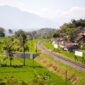 Pemandangan hijau persawahan dan perbukitan yang terlihat dari jendela kereta api menjadi pilihan moda transportasi favorit wisatawan yang menginginkan perjalanan santai dan penuh ketenangan di Pulau Jawa.