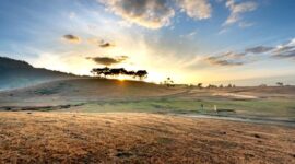 Hamparan bukit sabana keemasan di Sumba yang membentang indah tatkala disinari cahaya matahari terbenam. Pemandangan alami ini menjadi salah satu daya tarik utama bagi para pelancong yang mencari ketenangan di timur Indonesia.