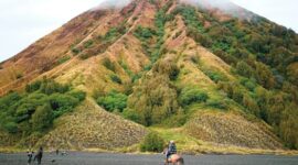Wisatawan menikmati pemandangan alam Jawa Barat dari balik jendela berukuran raksasa armada kereta api tematik panoramic. Penataan interior yang nyaman serta panorama lanskap pegunungan menjadi daya tarik utama perjalanan wisata berbasis rel di Indonesia.