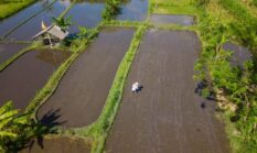 Menjelajah Nusantara dengan Cara Baru: Mengapa Wisata Lambat dan Regeneratif Kini Makin Diminati Pelancong